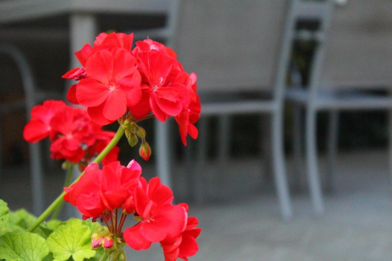Bed and Breakfast Il Casolare Penna Exterior foto